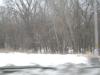 <img100*0:stuff/aj/42000/1262709476.jpg>