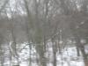 <img100*0:stuff/aj/42000/1262709585.jpg>
