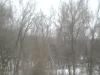 <img100*0:stuff/aj/42000/1262709649.jpg>
