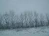 <img100*0:stuff/aj/42000/1262709710.jpg>