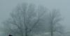 <img100*0:stuff/aj/42000/1262709758.jpg>