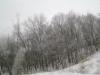 <img100*0:stuff/aj/42000/1262710182.jpg>