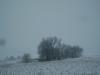 <img100*0:stuff/aj/42000/1262710220.jpg>