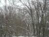 <img100*0:stuff/aj/42000/1262710361.jpg>