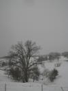 <img100*0:stuff/aj/42000/1262710562.jpg>
