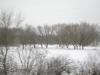 <img100*0:stuff/aj/42000/1262710644.jpg>