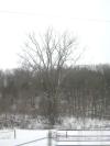 <img100*0:stuff/aj/42000/1262710713.jpg>