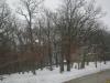 <img100*0:stuff/aj/42000/1262711164.jpg>