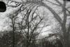 <img100*0:stuff/aj/42000/1262711398.jpg>
