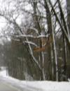 <img100*0:stuff/aj/42000/1262711462.jpg>