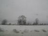 <img100*0:stuff/aj/42000/1262711530.jpg>