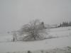 <img100*0:stuff/aj/42000/1262711776.jpg>