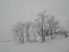 <img100*0:stuff/aj/42000/1262711876.jpg>