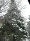 <img100*0:stuff/aj/42000/1262711980.jpg>