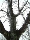 <img100*0:stuff/aj/42000/1262712015.jpg>