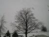 <img100*0:stuff/aj/42000/1262712122.jpg>