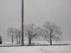 <img100*0:stuff/aj/42000/1262712366.jpg>