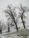 <img100*0:stuff/aj/42000/1262713329.jpg>