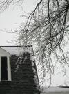<img100*0:stuff/aj/42000/1262715133.jpg>
