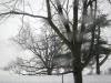 <img100*0:stuff/aj/42000/1262715158.jpg>