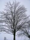 <img100*0:stuff/aj/42000/1262720696.jpg>