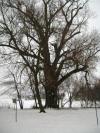 <img100*0:stuff/aj/42000/1262721875.jpg>