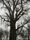 <img100*0:stuff/aj/42000/1262721922.jpg>