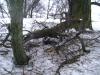 <img100*0:stuff/aj/42000/1262724456.jpg>