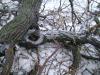 <img100*0:stuff/aj/42000/1262724497.jpg>