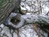 <img100*0:stuff/aj/42000/1262724614.jpg>
