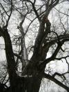 <img100*0:stuff/aj/42000/1262724749.jpg>