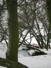 <img100*0:stuff/aj/42000/1262724800.jpg>