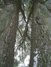 <img100*0:stuff/aj/42000/1262725264.jpg>