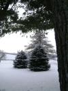<img100*0:stuff/aj/42000/1262725343.jpg>