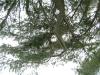 <img100*0:stuff/aj/42000/1262725434.jpg>