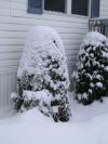 <img100*0:stuff/aj/42000/1262726230.jpg>