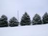 <img100*0:stuff/aj/42000/1262726408.jpg>