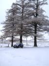 <img100*0:stuff/aj/42000/1262726527.jpg>