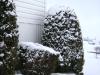 <img100*0:stuff/aj/42000/1262726616.jpg>