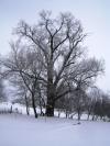 <img100*0:stuff/aj/42000/1262729732.jpg>