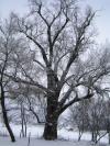 <img100*0:stuff/aj/42000/1262729818.jpg>