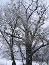 <img100*0:stuff/aj/42000/1262729915.jpg>