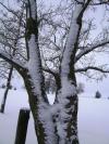 <img100*0:stuff/aj/42000/1262730347.jpg>