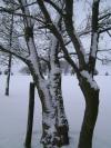 <img100*0:stuff/aj/42000/1262730448.jpg>