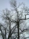 <img100*0:stuff/aj/42000/1262730580.jpg>