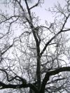 <img100*0:stuff/aj/42000/1262730885.jpg>