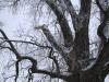 <img100*0:stuff/aj/42000/1262730972.jpg>