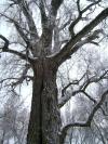 <img100*0:stuff/aj/42000/1262731005.jpg>