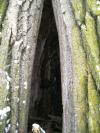 <img100*0:stuff/aj/42000/1262731399.jpg>