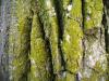 <img100*0:stuff/aj/42000/1262731816.jpg>